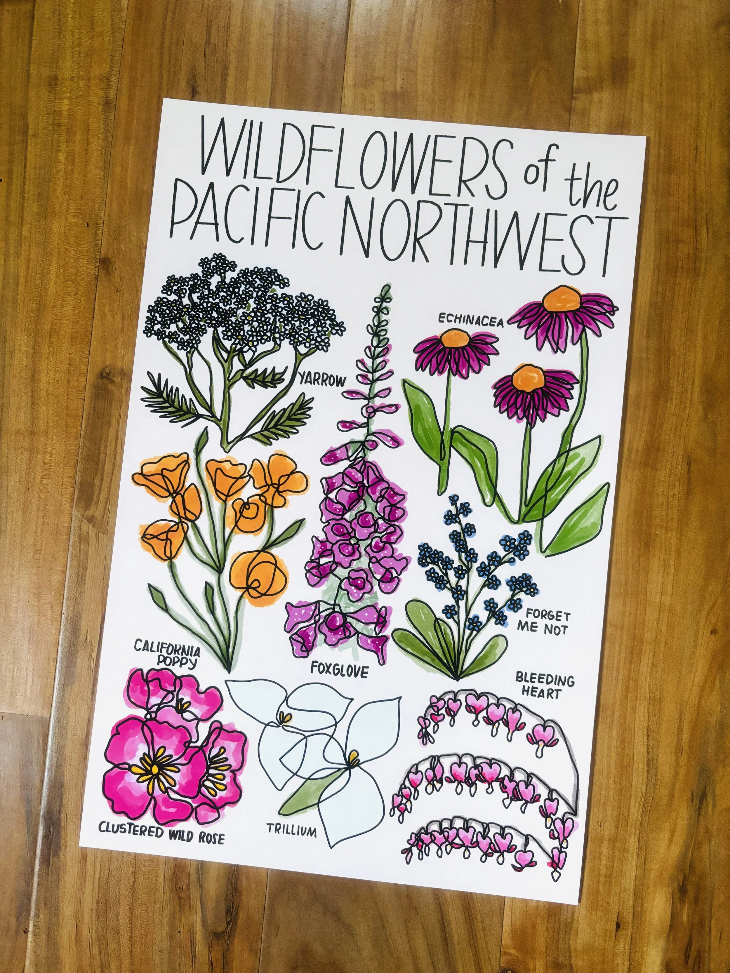 PNW Wildflowers — Mercedes Tabish